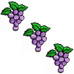 HHO Patch Set 3 Pieces. Mini Bunch of Grapes Cute Purple Patches Grape Fruit Cartoon Stickers Embroidery Jacket T Shirt Patch Sew Iron on Embroidered Badge Sign Costume