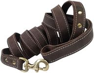 Blazing Paws Vibrania 10 Ft Heavy Duty 1 inch Wide Super Soft Thick Distressed Leather Dog Leash with Side Ring (10 Ft L x 1" W, Coffee Brown: Stitched)