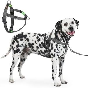 APDEXY Freedom No Pull Dog Harness for Large Dogs, Easy Walker, Front Clip, Anti Pull with Two Stainless D-Rings, Comfortable, Sewn-in Instructions Tags for Easy Use (Black, XXL)