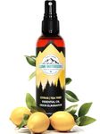 Shoe Deodorizer & Odor Eliminator Spray - Natural Shoe Smell Eliminator by Lumi Outdoors - Citrus Tea Tree Freshener…