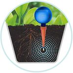 Plantpal Pack of 4 Large Watering Globes. New Clear Colours 2 GREEN and 2 BLUE clear view of water level. Holiday and Everyday Self Watering for plants.