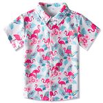 Enlifety Baby Boys Summer Graphic Shirts Cool Flamingo Print Button Down Shirts for Hawaii Beach 3-4T