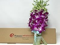 Fresh Cut Flowers -Dendrobium Orchi