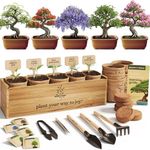 Planter's Choice Bonsai Tree Starte