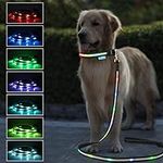 LED Dog Leash,Lighted Dog Leash for Night Walking,USB Rechargeable RGB Color Changing Heavy Duty Light Up Dog Leash Padded Handle Glow in The Dark Led Leashes for Small Medium Large Dogs-6FT