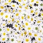 JZK 100x Artificial white craft daisy daisies fabric flowers heads, party wedding table scatters confetti scrapbook accessory invitation card decoration craft gadget