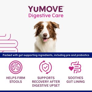 YuMOVE Digestive Care Dog Paste, 30ml – Probiotic Supplement