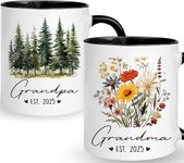 Promoted To Grandparents 2025 Mug S