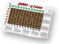 Dobro G Tuning Resonator Guitar Fretboard Note & Rolls Chart - Beginners & Intermediate Instructional Easy Poster Chords 11x17 | A New Song Music