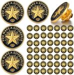 Ceenna 50 Pcs Employee of The Month Lapel Pin Employee Star Recognition Pins Employee Enamel Pins Gold Plated Enamel Employee Pin Performance Reward Pin (Make A Difference)