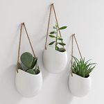 Kazai. Wall Planters -Ellie- | Hanging Ceramic Plant Pots, 3 Pieces, for Succulents and more | Wall Decoration for Indoors, Balcony and Garden | White (glossy)