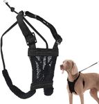 Sporn Stop Pull Mesh Dog Harness Bl