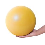 Fresion 25cm Soft Pilates Ball/Small Exercise Ball - Mini Yoga Ball, Core Ball, Barre Ball, Small Workout Ball,Gym Ball for Physical Therapy, Balance, Stability, Stretching