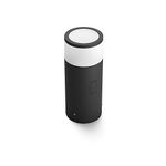 Philips Hue White & Color Ambiance Calla Outdoor Pedestal / Boolard Extension, Smart LED Outdoors Lights (Hue Hub Required, Works with Alexa, Apple Homekit & Google Assistant), Black
