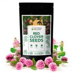 Red Clover Seeds - 250g - 150,000 Seeds! Erosion Control, Ground Cover, Lawn Alternative, Cover Crop, Green Compost - Enhance Your Garden - Limitless Growth