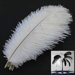 MWOOT 10pcs Natural Ostrich Feathers, 10-12inch(25-30cm) Crafts DIY Plume Feahter for Centerpieces Home Wedding Party Table Decoration (White)