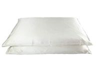 Jasmine Silk Pair of 100% 19 Momme Charmeuse Silk Pillowcases (IVORY) 50 cm x 75 cm - RRP £70