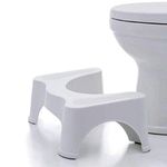 Maharaj Mall Portable Potty Step Stool for Western Toilet (White)