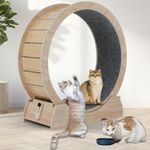 ARADNEO Cat Exercise Wheel,Cat Running Wheel ，Large Cat Wheel Exercise for Indoor Cats ，Cheap Cat Wheel，Cat Treadmill Wheel with Locking Mechanism (39.4", Nature)