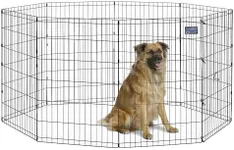 MidWest Homes for Pets Dog Exercise