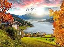 Jigsaw Puzzles - Meadow