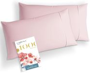 Carressa Linen 100% Egyptian Cotton Standard/Queen Size Pillow Cases Set of 2-1000 Thread Count Pillow Cover - Soft, Breathable & Cooling Blush Pillowcases Set of 2 for Standard/Queen Pillows