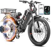 eAhora Romeo Pro 48V 60Ah Long Rang