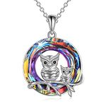 YAFEINI Owl Crystal Necklace for Women Sterling Silver Owl Pendant Necklace Mother and Daughter Jewellery Gifts for Girls Owl Lovers