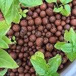 OhhSome Clay Balls (5 Kg Approx 16-17 Litre) Clay Balls Hydroponics, Aquaponics and Gardening(5 Kg Approx 16-17 Litre)