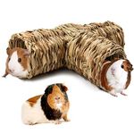RANYPET Hamster Grass Tunnel Toy Natural Hideaway Guinea Pig Tunnels and Tubes Toys for Rats,Syrian Hamster,Ferrets,Guinea Pig,Chinchilla Hedgehog