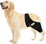 Huimpet Dog Hip Knee Leg Brace Dog 