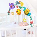 New Baby Einstein Baby Einstein Baby Cribs