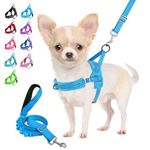 RETOLIT No Pull Small Dog Harness & Leash, Heavy Duty Easy for Walk Vest Harness Soft Padded Reflective Adjustable Puppy Harness Anti-Twist Pet Leash Quick Fit for Small Dog Cat Animal(Light Blue,XXS