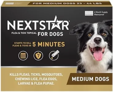 NEXTSTAR F