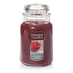 Yankee Candle Cranberry Chutney Scented, Classic 22oz Large Jar Single Wick Aromatherapy Candle, Over 110 Hours of Burn Time, Apothecary Jar Fall Candle, Autumn Candle Scented for Home