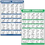 QuickFit Dumbbell Workouts and Barbell Exercise Poster Set - Laminated 2 Chart Set - Dumbbell Exercise Routine & Barbell Workouts (18" x 27")