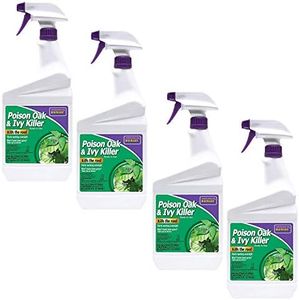 Bonine Store Bonide-5066-4/pack