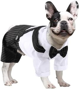 ASENKU Dog
