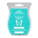 Scentsy By the Sea New Scent Bar