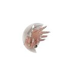 Sgoeths Silver Finger Nail Rings fo