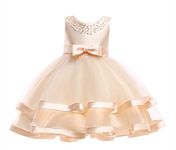 AIgogo Girls Flower Dresses for Wedding Party Pageant Tulle Princess Dress 3-9 Years (0-6 Months, Champagne)