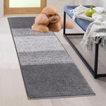 Vaukki Indoor Doormat Entryway Door Rug, Non Slip Absorbent Mud Trapper Mat Inside Floor Mat, Washable Small Door Carpet for Entryway (Grey, 20''x59'')