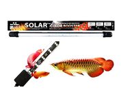 VAYINATO Neo Helios Solar Colour Booster Submersible LED Light for Aquarium Fish Tank | Enhance Fish Colour | High Brighness ST 260-26Cm | Suitable for 1 Feet Tank