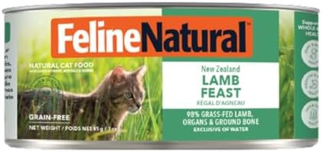 Feline Nat