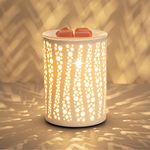 PALANCHY Wax Melt Burner Glass Oil Burner Electric Wax Melt Warmer Candle Wax Warmer Burner Melter Fragrance Warmer for Home Office Bedroom Aromatherapy Gift& Décor (Starry Night)