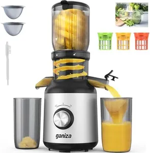 Ganiza Juicer Machines, Cold Press Juicer with Large Feed Chute for Whole Fruits & Vegetables, Slow Masticating juicers with 3 Replace Filters for Batch Juicing, Easy to Clean, BPA Free(Silver)