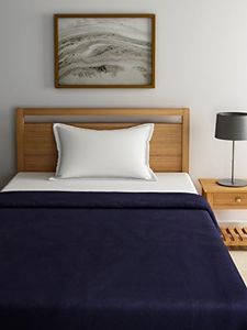 Raymond Home 495 GSM Blue Wool Single Blanket