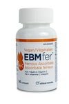 EBMfer Iron with Vit C | 1 daily | Gentle | Vegan | Boosts Energy | 100 mg High Potency | 90 caps Value Pack