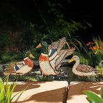 Coopers of Stortford Drake & Mallard Duck Garden Decor Stakes