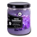 Dianne's Custom Candles Scented Odor Eliminating Fragranced Candle 12 Ounce (Lilac Blossom)